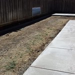 Backyard Walkway And Mow Strip In Vacaville California