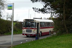 April 2023 - Belfast / Citybus 50th Anniversary