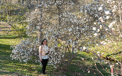 Early spring time at the Arnold Arboretum Park