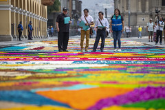 090423 Jurado evalúa alfombras florales por Semana Santa