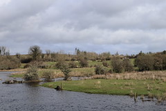 The River Boyle 2023