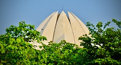 The Lotus Temple Delhi