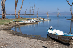 Lake Naivasha - Kenya 2023