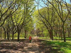 Bois de Boulogne - Bois de Vincennes - Parcs et Jardins - Paris
