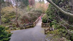 Crystal Springs Rhododendron Garden, Portland, OR