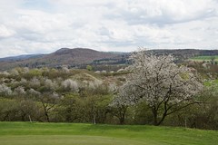 2023 - 23. April - Wanderung bei Hofbieber Golfplatz