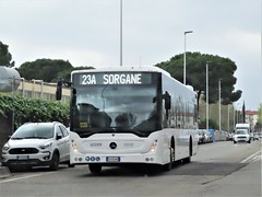AUTOLINEE TOSCANE S.p.a. Borgo San Lorenzo (FI) buses