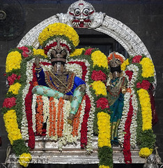 VasanthaUtsavam 2023 Kapaleeswarar Temple