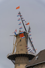 Koningsdag Schiedam 2023
