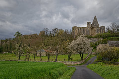 Indre et Loire - Avon les Roches