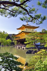 JAPON : L'impérial Kyoto, temples et châteaux au printemps 2023