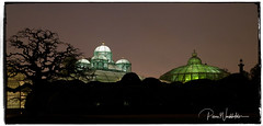 A nightly visit to the Royal greenhouses of Laeken