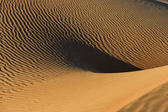 OMAN - The Wahiba sand desert