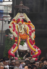 Pradosham 3-5-23 Kapaleeswarar Temple