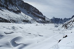 Randoski Glacier d'Argentière Avril 2023