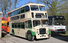 UK - Bus - Cumbria Classic Coaches