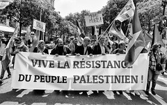 Manif. Palestine + Gilets Jaunes