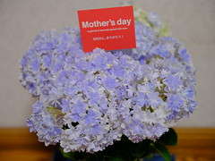 flowers-for-mother's-day_130523