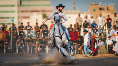 AlSadah Stable Cowboy Games