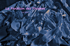 La Fanaison des Pivoines [11-15 mai 2023]