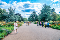UK - London - Kew Gardens Broad Walk