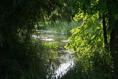 Joinville-le-Pont Arboretum et Jardin école de Breuil Mai 2023