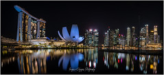 Singapour la ville Jardin