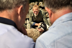 Spring Show of Swaledale Sheep, High Force Hotel, Middleton-in-Teesdale, 20/05/23