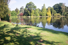 UK - East Sussex - Sheffield Park Gardens