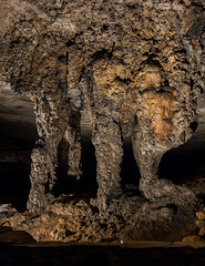 2023-04-17 Mammoth Cave NP