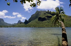 Tahiti / Moorea