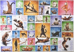 Yoga Cats (Eurographics)