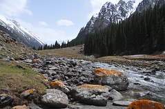 Kirguizistan - Vallée Altyn Arashan