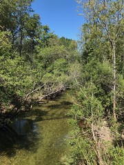 Carmel River at Garland Ranch Regional Park