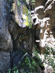 Waterfall at Garland Ranch Regional Park