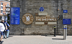 The Shed Wall