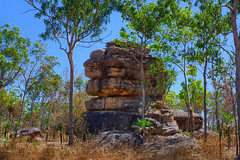 Kakadu National Park - May 2023