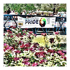 Kalamazoo Pride Festival