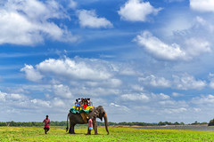 Sri Lanka 斯里蘭卡