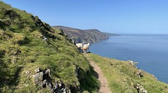 South West Coast Path: Heddon's Mouth - Combe Martin