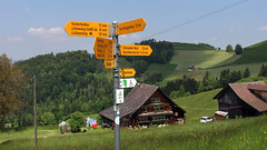 Schweiz - Kanton St.Gallen / Region Neckertal / Oberhelfenschwil - Burgruine Neu Toggenburg