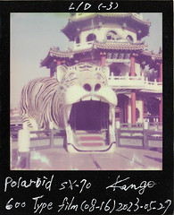 Polaroid 600 Type Film ASA640