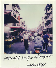 Polaroid SX-70 film (ASA160)