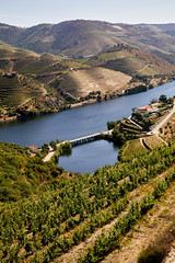 Duero Valley Tour