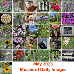 2023 Mosaics