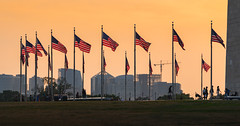 Rosslyn and Flags