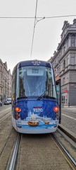 Czech trams & coaches