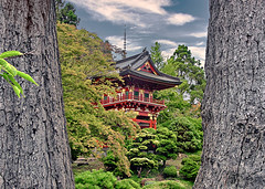 Temple Gate in the Japanese Tea Garden