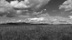 23SHDP036 - Beneath Clouds (Grayscale)