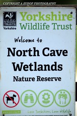 North Cave Wetlands 17/06/2023